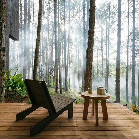 Mo Stay - Forest Resort Да Лат Екстериор снимка