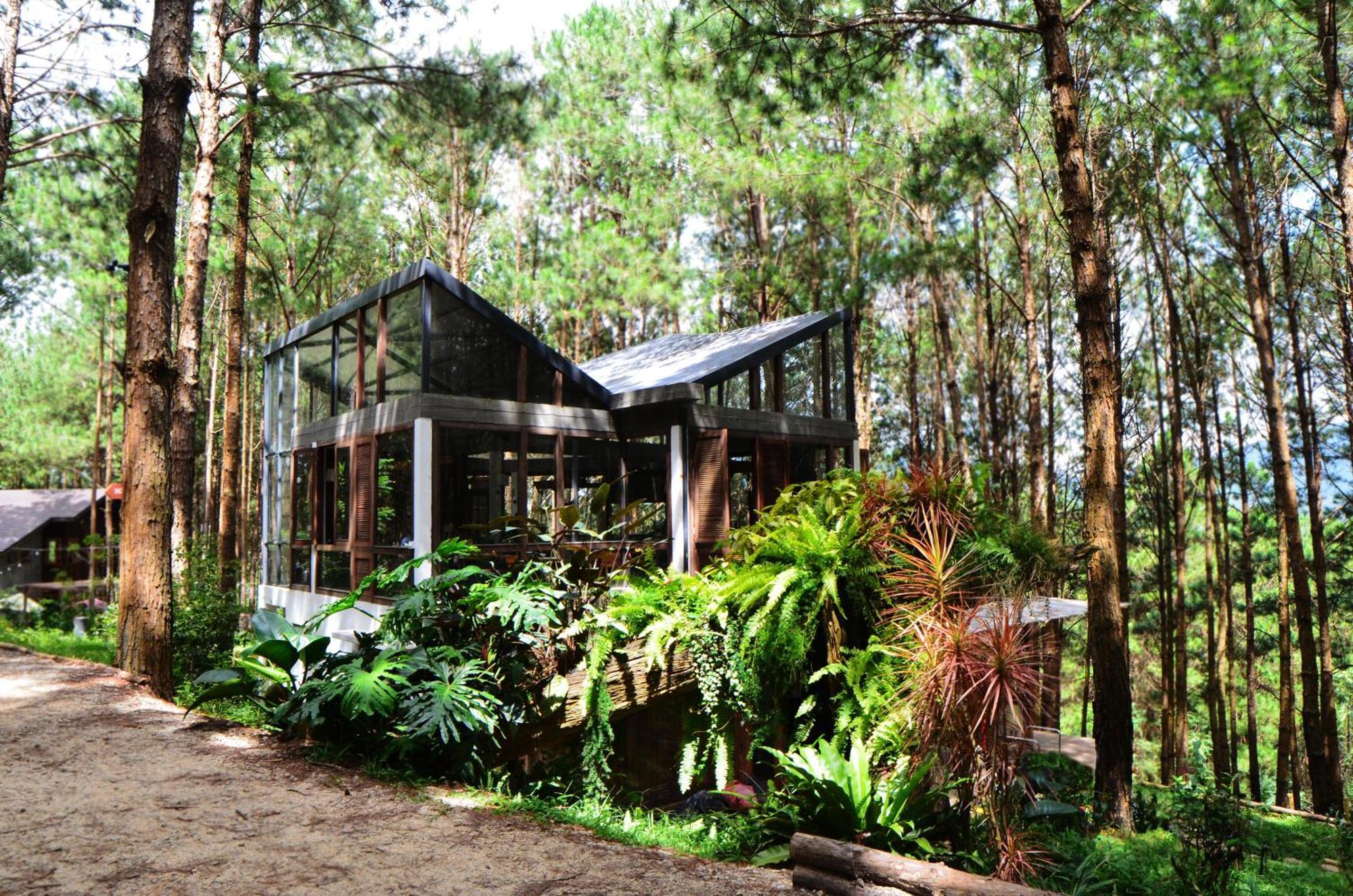Mo Stay - Forest Resort Да Лат Екстериор снимка