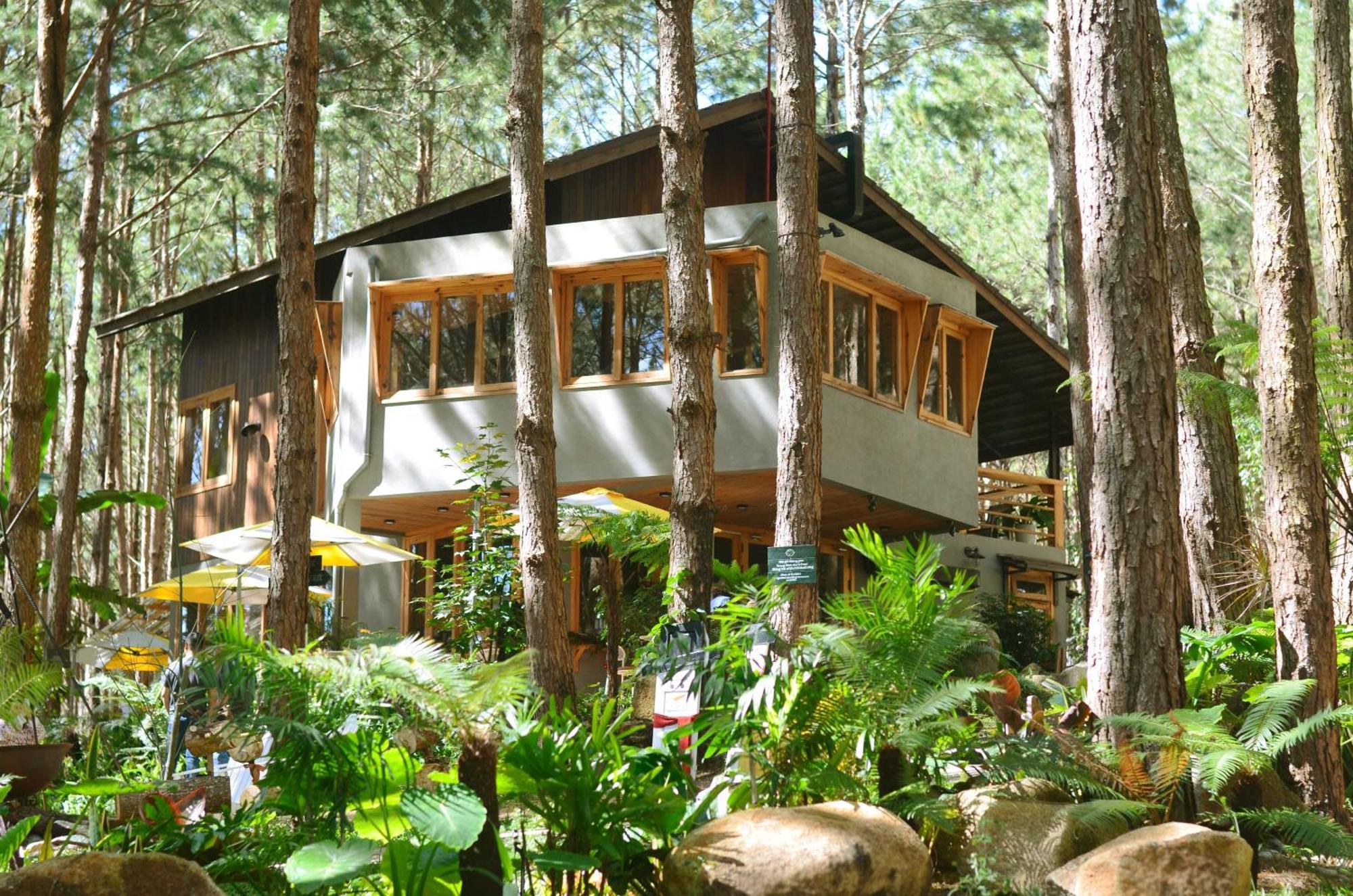 Mo Stay - Forest Resort Да Лат Екстериор снимка