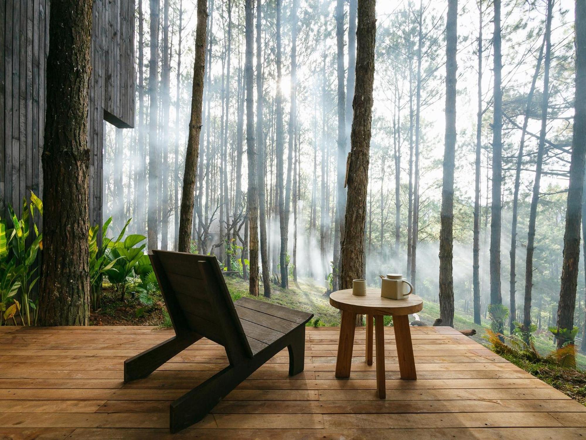 Mo Stay - Forest Resort Да Лат Екстериор снимка