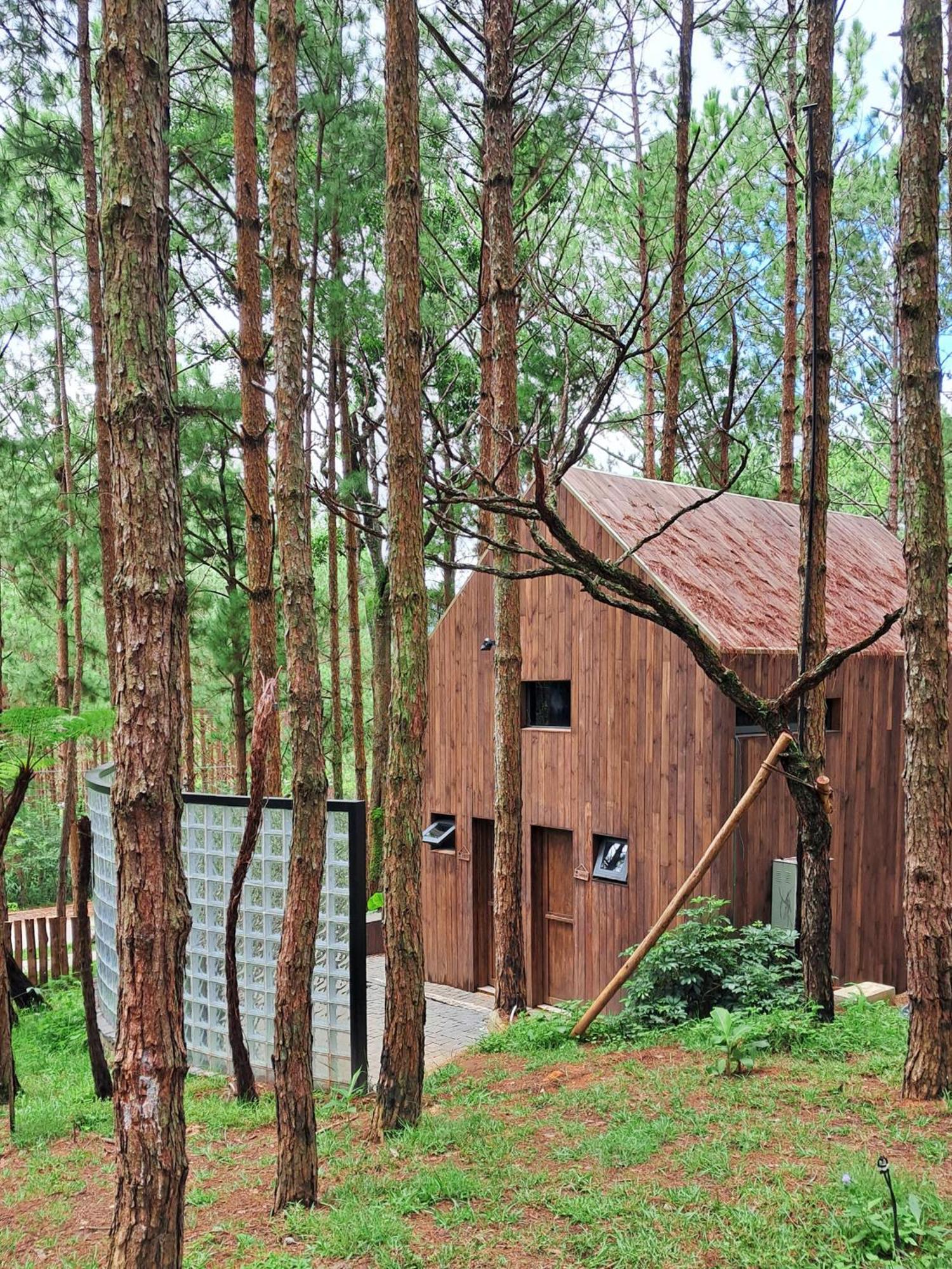 Mo Stay - Forest Resort Да Лат Екстериор снимка